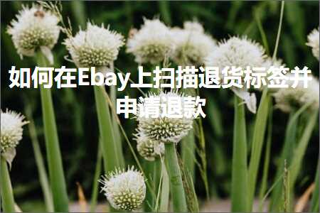 焦作网站推广 跨境电商知识:如何在Ebay上扫描退货标签并申请退款